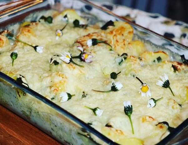 Kartoffelgratin mit Bärlauch und Gänseblümchen